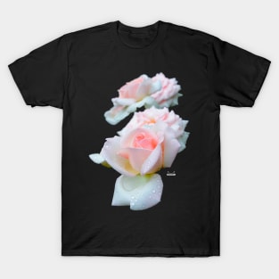 Pale Pink Roses T-Shirt